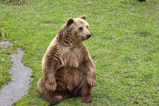 Akcent ZOO w Białymstoku